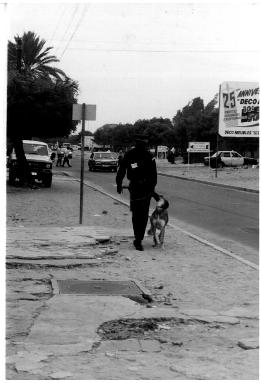 Maître-chien DIS en patrouille, Dakar. — Archives DIS